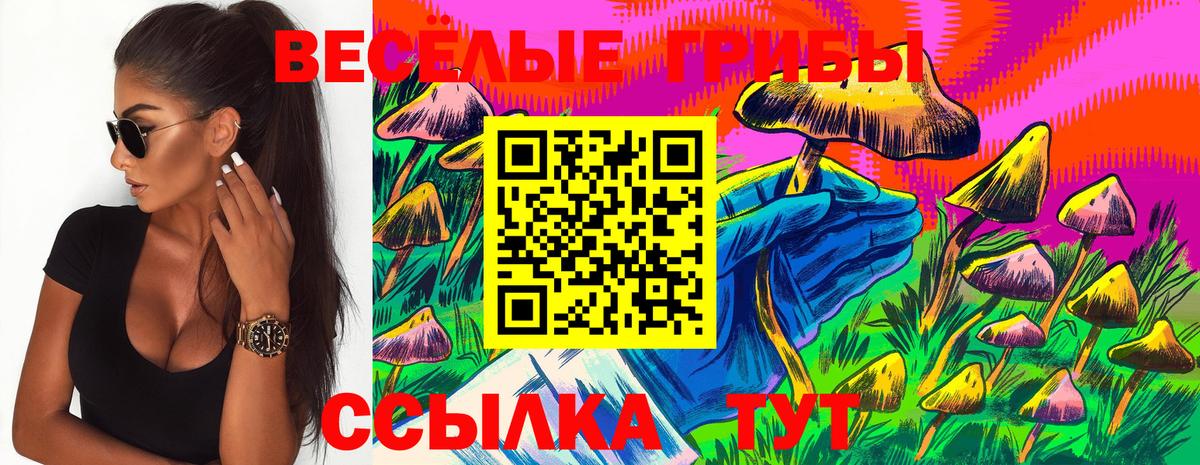 Галлюциногенные грибы MAGIC MUSHROOMS Искитим