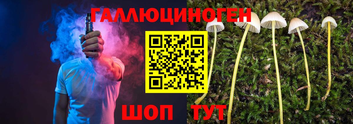 Псилоцибиновые грибы ЛСД  Вход с VPN  Псилоцибиновые грибы ЛСД  Искитим 